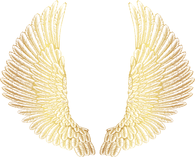 Golden Wings Decor